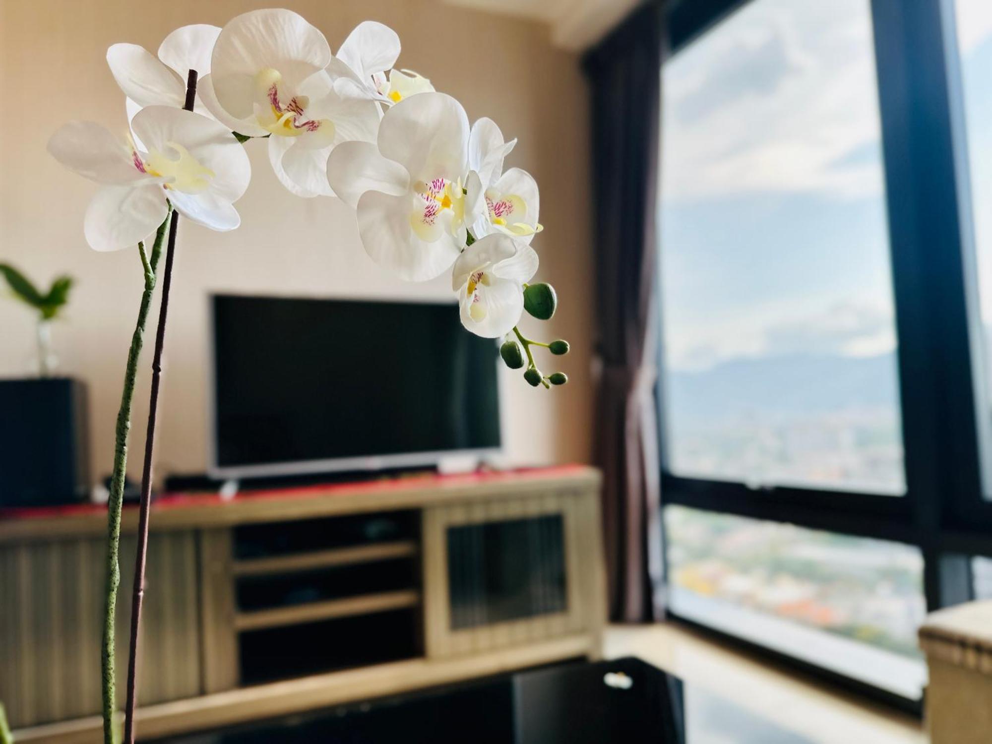 New Tropical Macalister 218 9pax To11pax Heng Apartment *